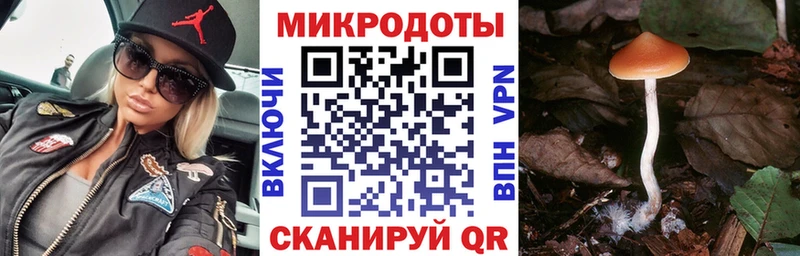 Галлюциногенные грибы Cubensis  наркошоп  Балашов 